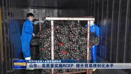 RCEP協(xié)定進(jìn)入全面實(shí)施新階段——山東高質(zhì)量實(shí)施RCEP提升貿(mào)易便利化水平，推動(dòng)貨物進(jìn)出口發(fā)展