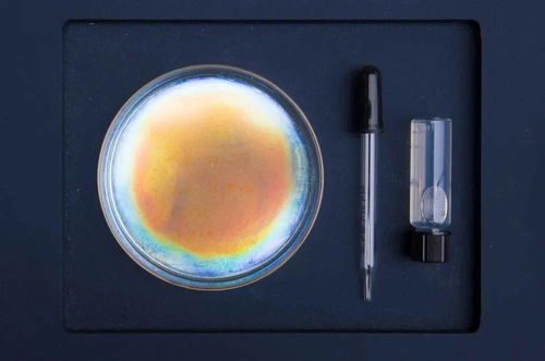 生物紡織研究 跨領(lǐng)域設(shè)計(jì)師們繼續(xù)給你帶來(lái)綠色靈感