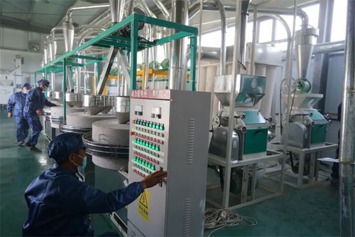 長(zhǎng)子縣西王坡東村 傳統(tǒng)工藝 磨 出鄉(xiāng)村振興致富路