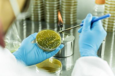 戰(zhàn)新產(chǎn)業(yè)&ldquo;百大工程&rdquo;|招商局集團(tuán)領(lǐng)航生物基聚酰胺創(chuàng)新突破 打造生物經(jīng)濟(jì)新引擎